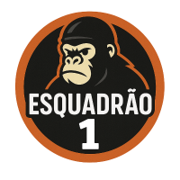 Esquadrão 1